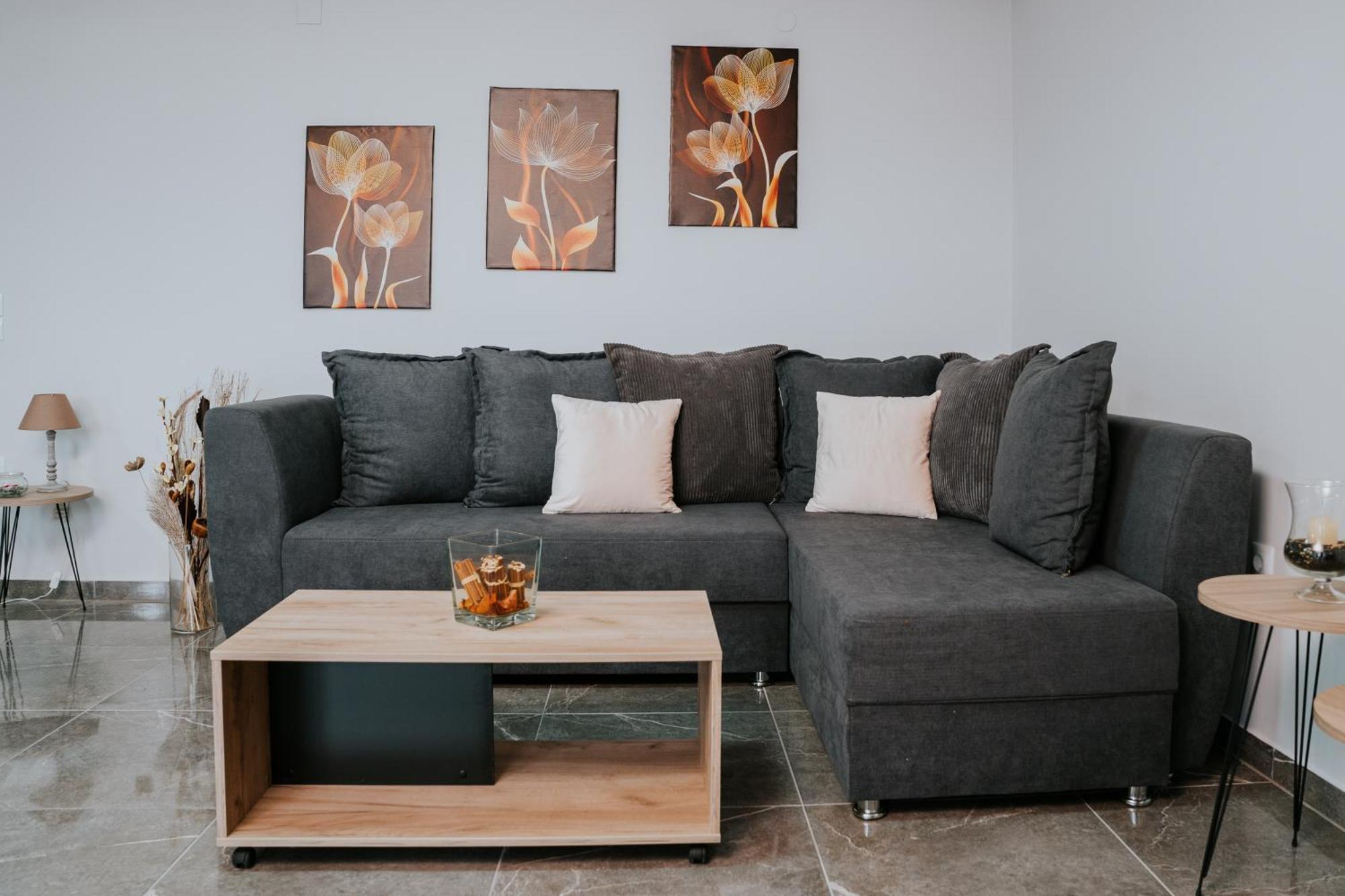 Pamvotis Urban Apartment Ioannina